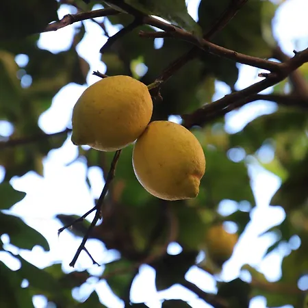 公寓 Casa Con Giardino A Roma, 2 Camere, Ideale Per Famiglie, 15 Minuti Dal Colosseo, 5 Minuti Da Mirti