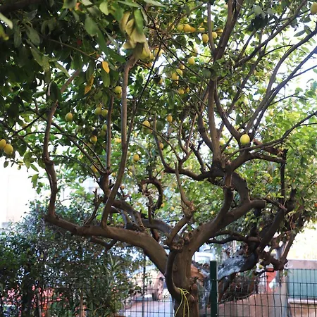 公寓 Casa Con Giardino A Roma, 2 Camere, Ideale Per Famiglie, 15 Minuti Dal Colosseo, 5 Minuti Da Mirti *