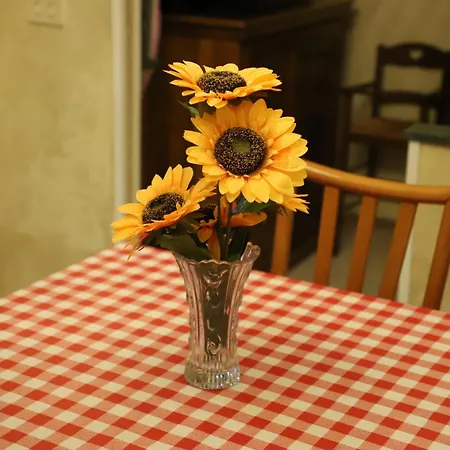 Casa Con Giardino A Roma, 2 Camere, Ideale Per Famiglie, 15 Minuti Dal Colosseo, 5 Minuti Da Mirti 公寓 罗马